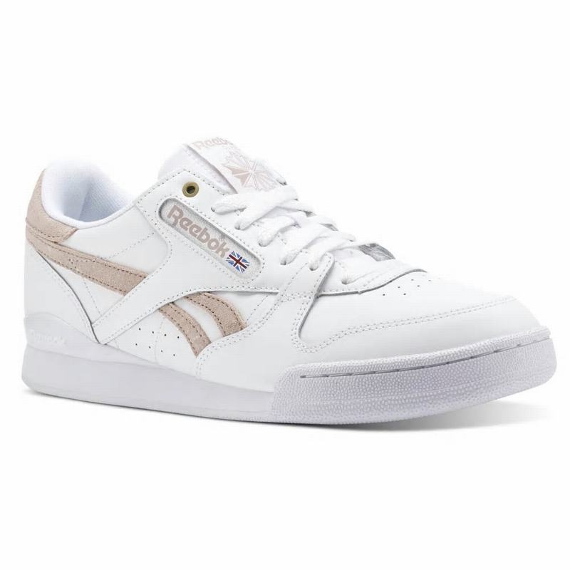 Tenisi Reebok Phase 1 Pro X Montana Cans Barbati Albi/Gri Romania VB7896XP
